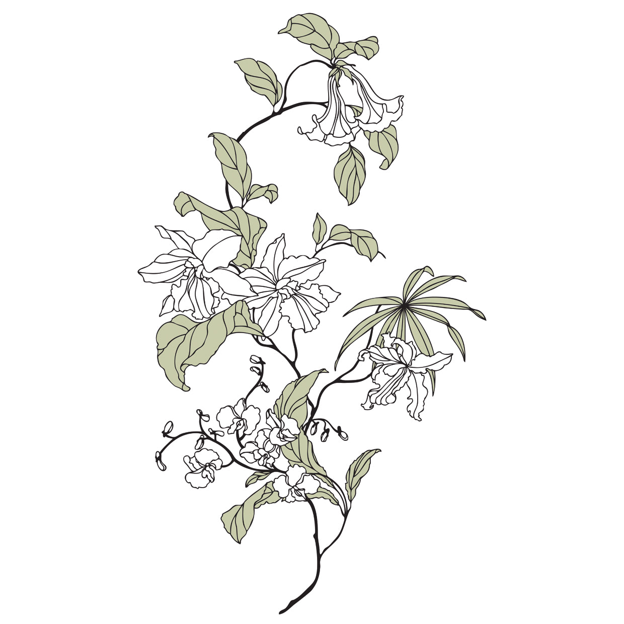 Flowers Illustration