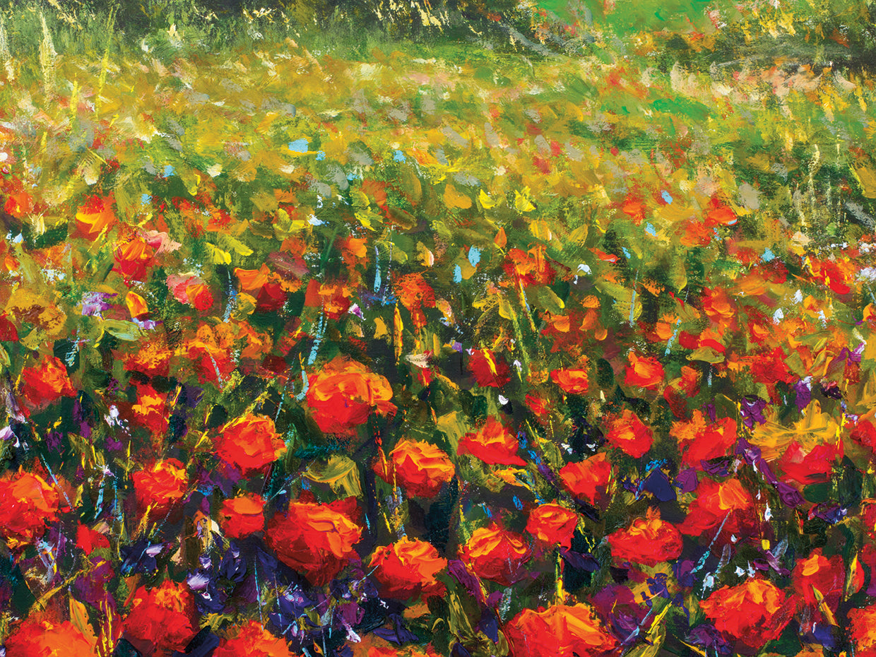 Red Poppies in Summer