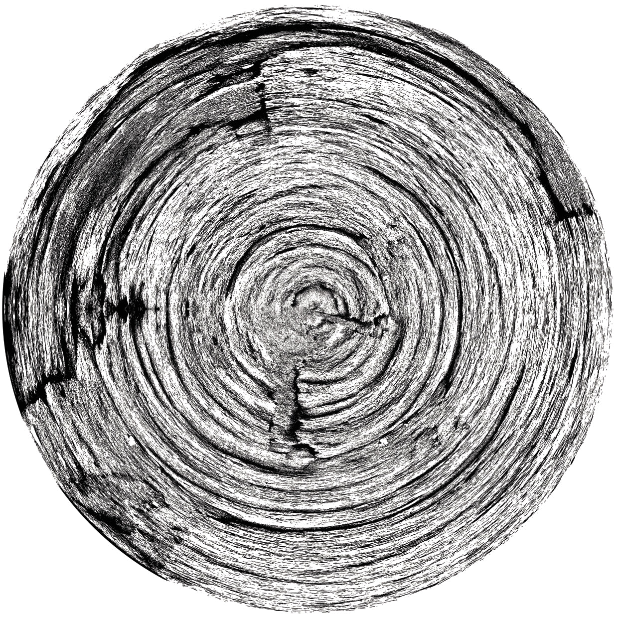 Patrón de madera en blanco y negro 7 Lienzo