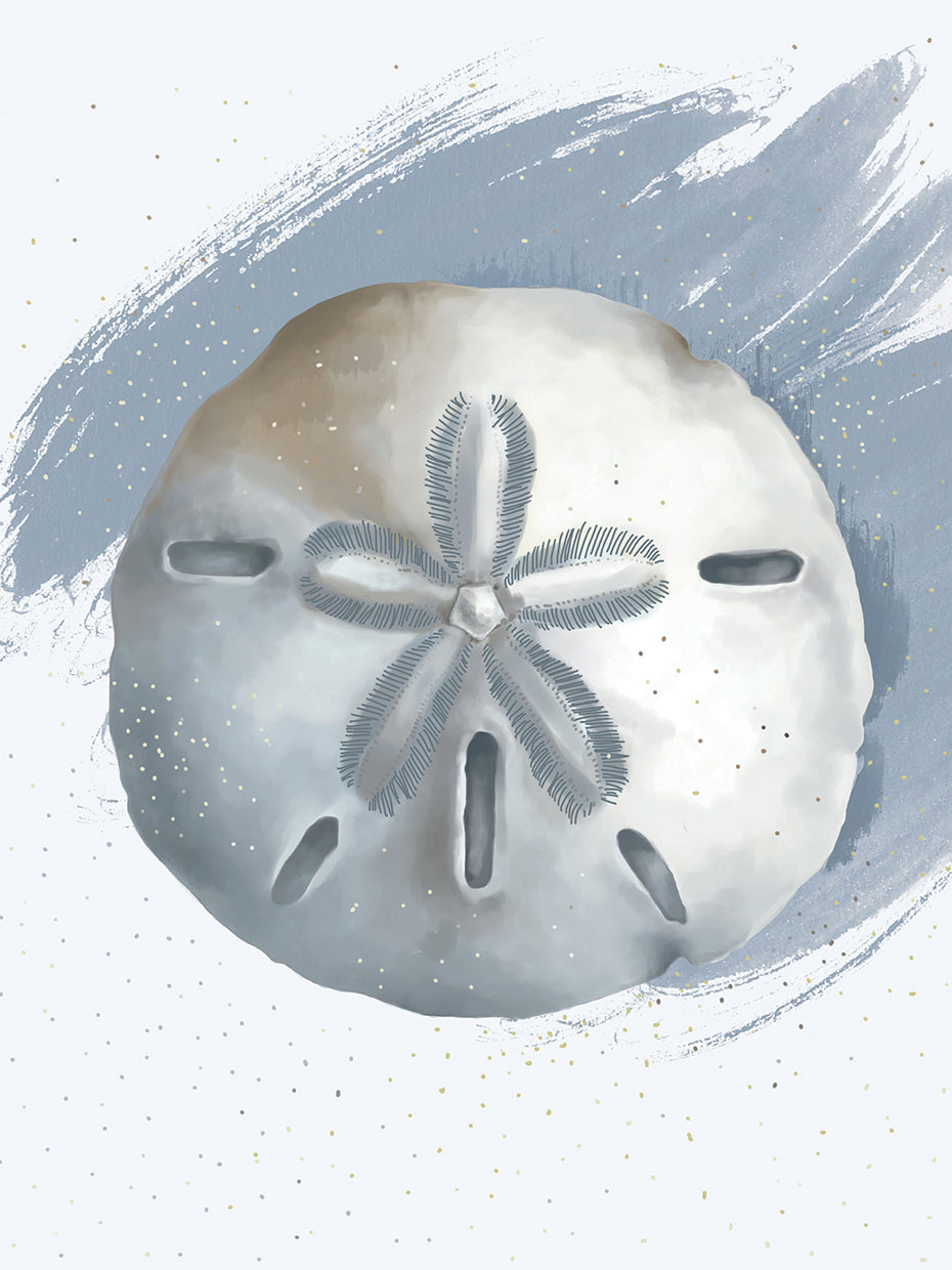 Sand Dollar