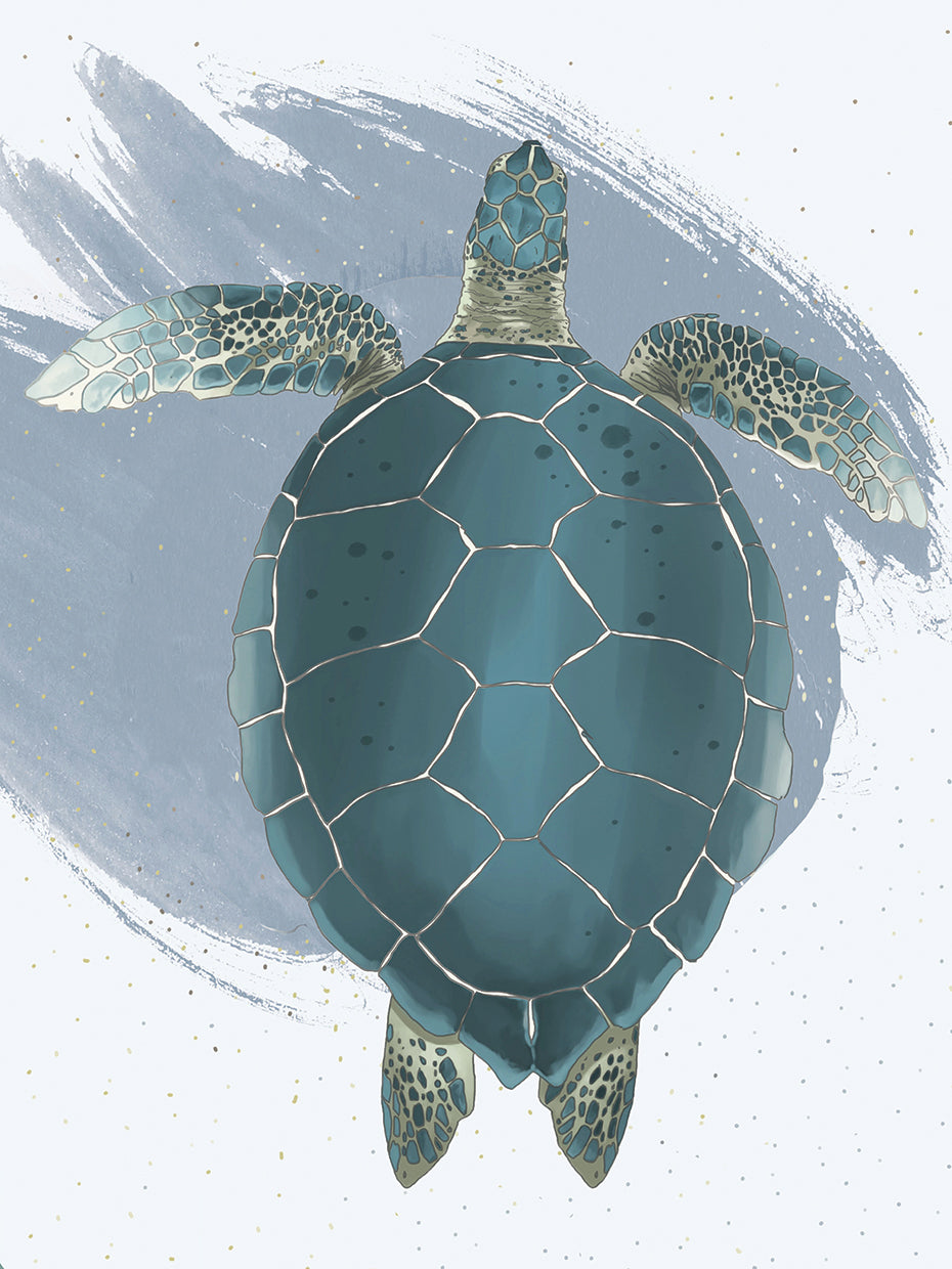 Sea Turtle
