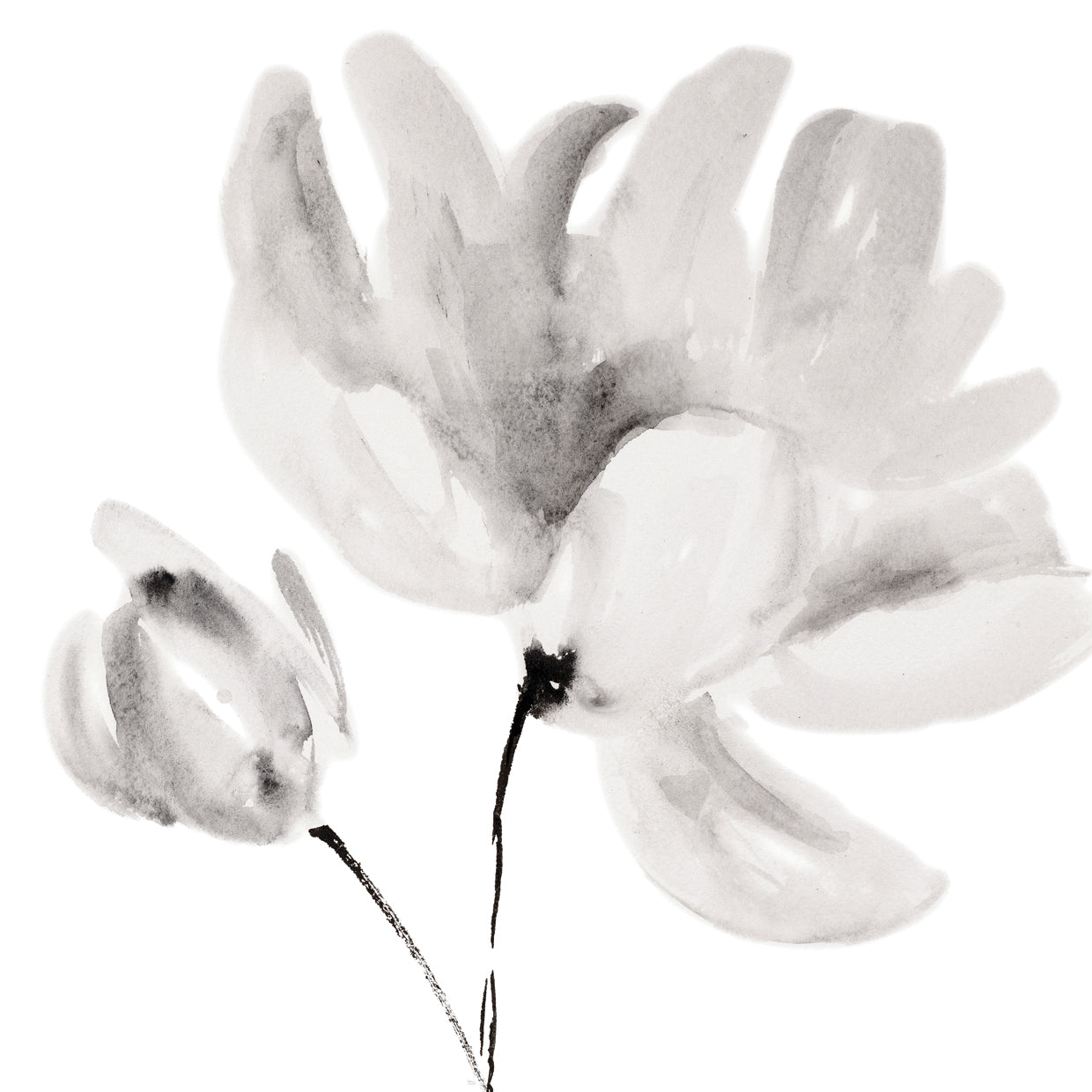 Rise With The Sun Square II