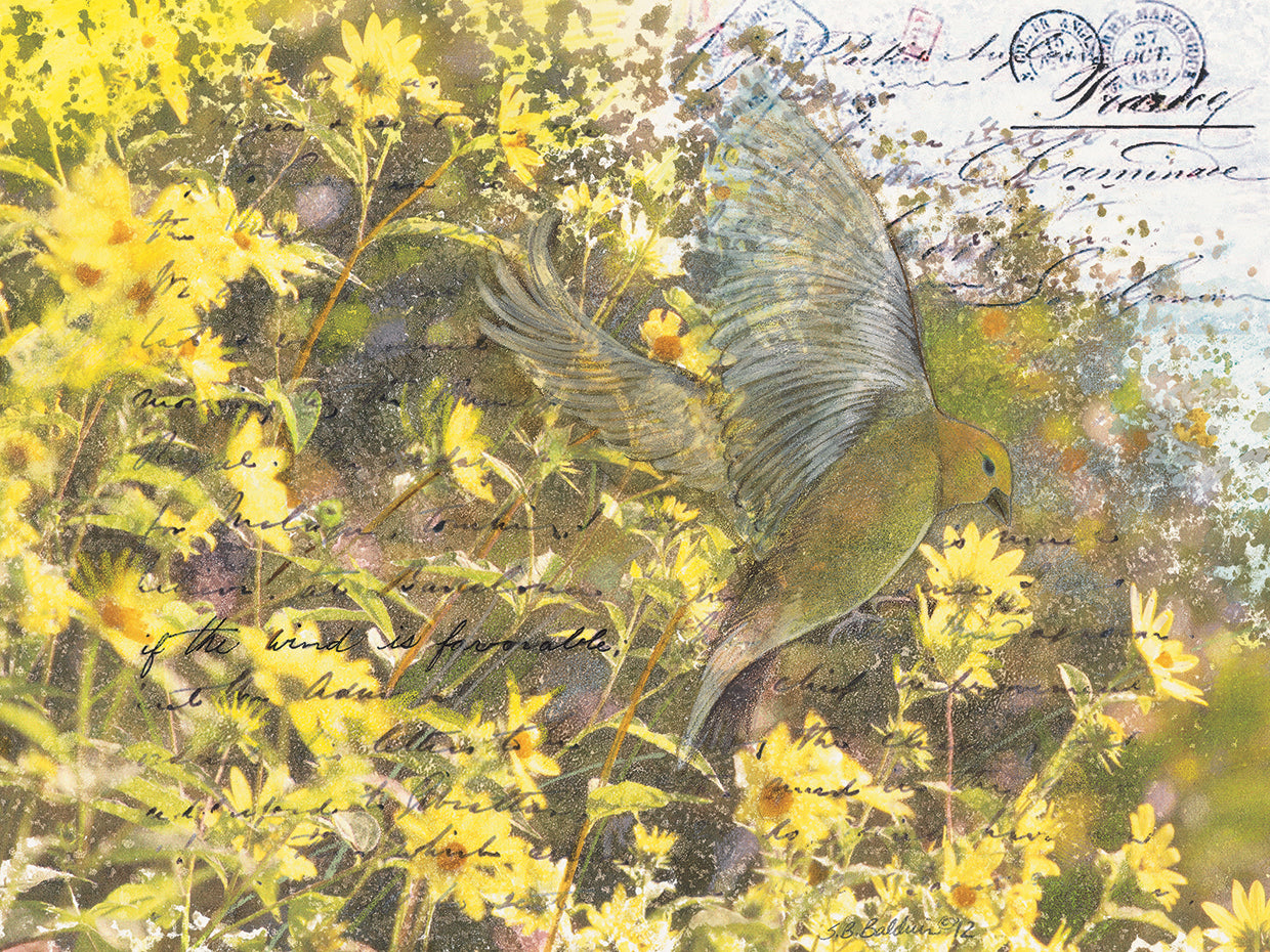 Finch and Lemon Queen Sunflowers