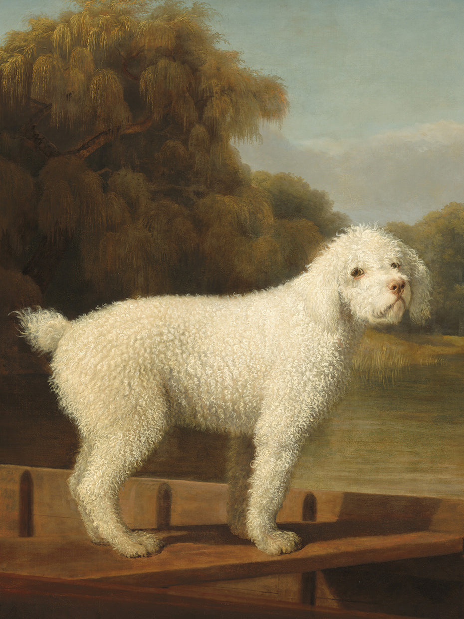 White Poodle in a Punt, c. 1780