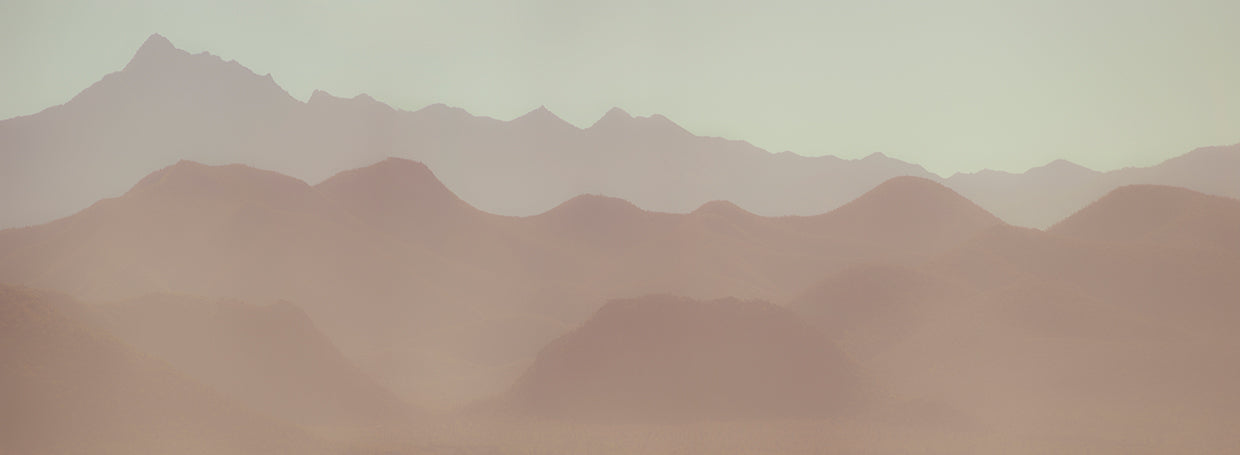 Neutral Landscape II