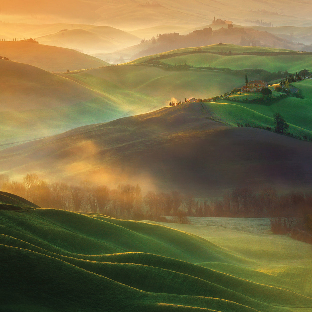 Browko -Morning Dreams