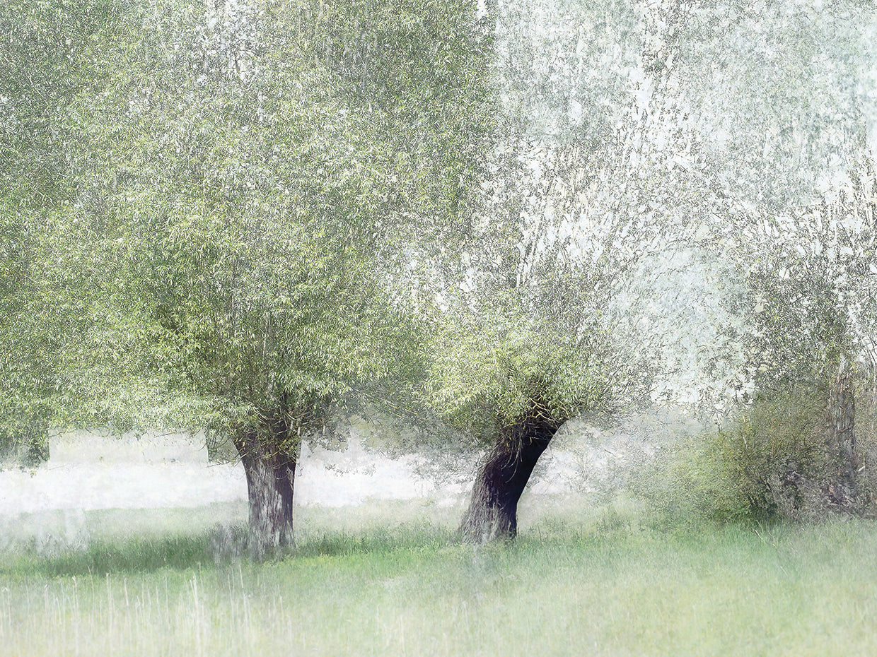 Talen - Verde joven Lienzo