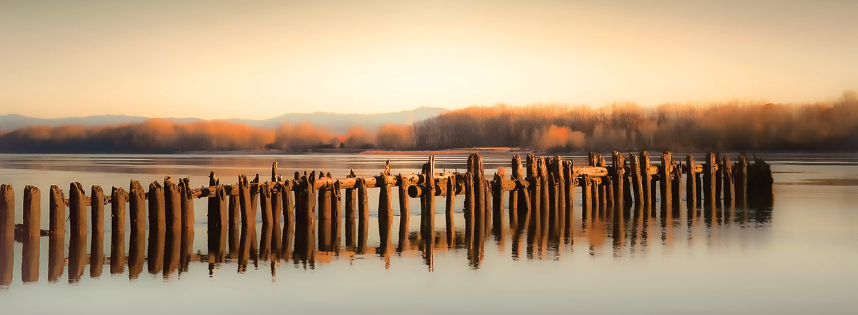 Late Autumn Along the River