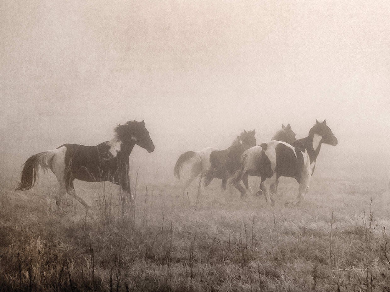 Painted Horses on the Run Crop
