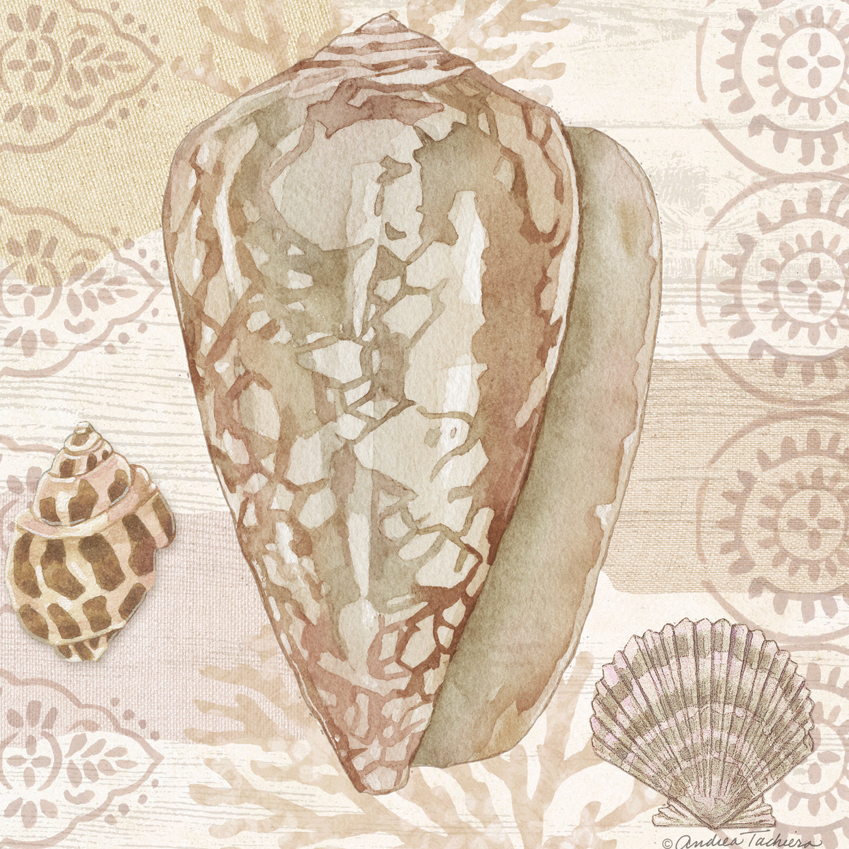 Neutral Shell Study 3