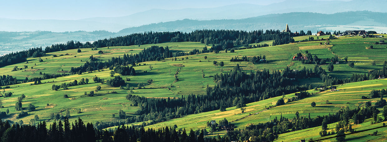 Paisaje 1 Lienzo