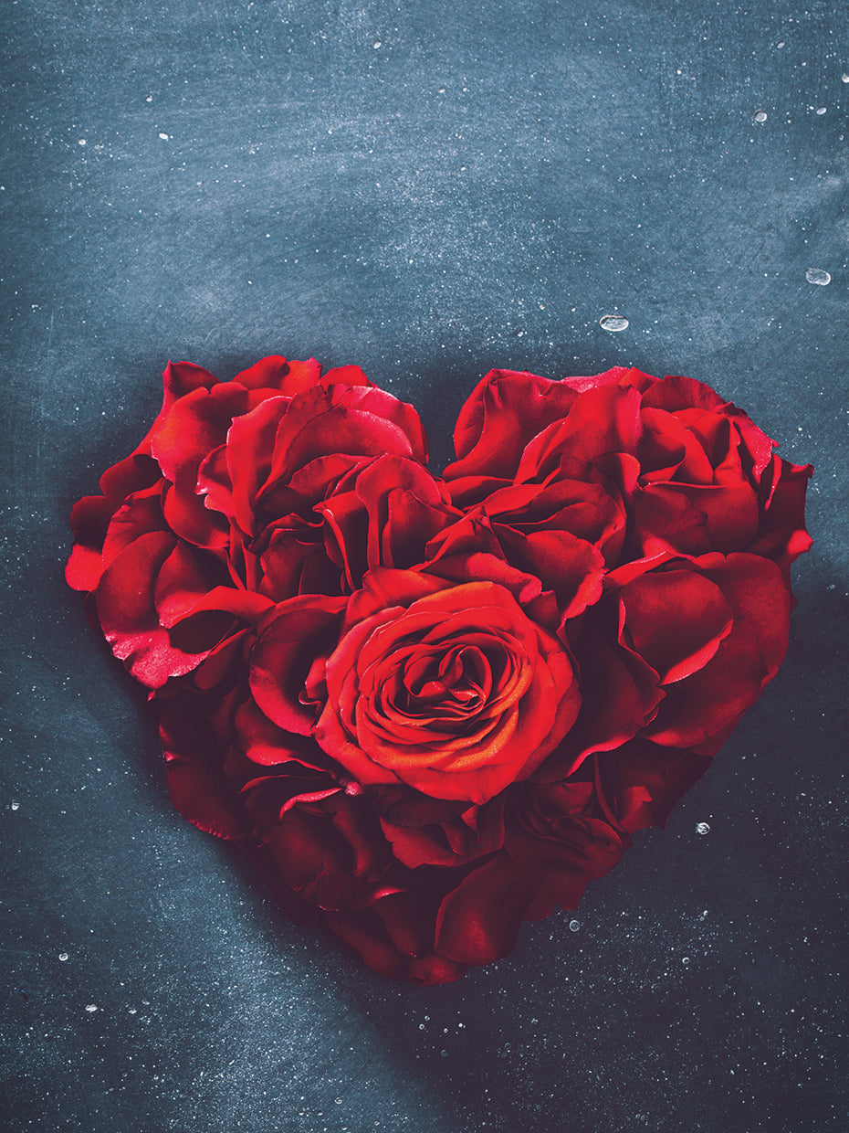 Rosa corazon 1 Lienzo