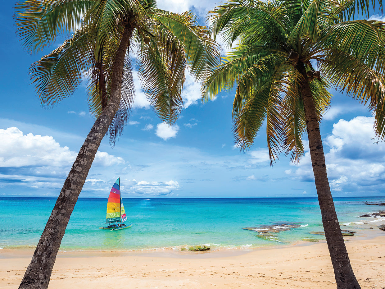 Postcard From Paradise