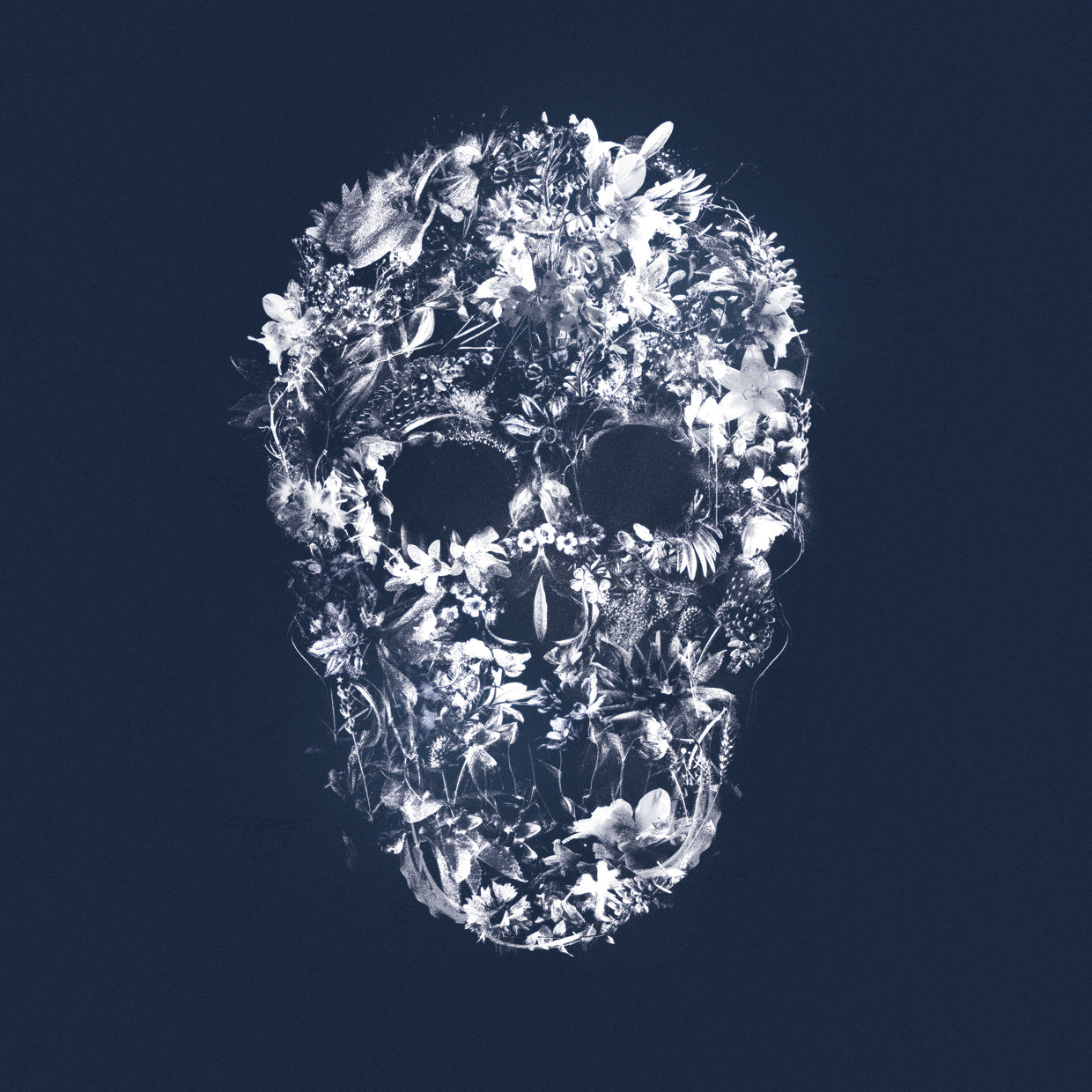 Skull Silhouette
