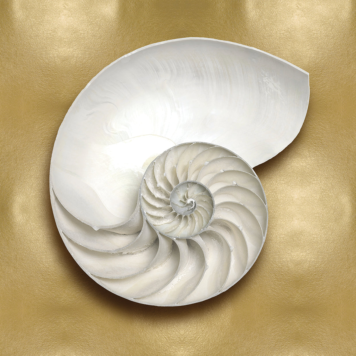 Ocean Gem on Gold II