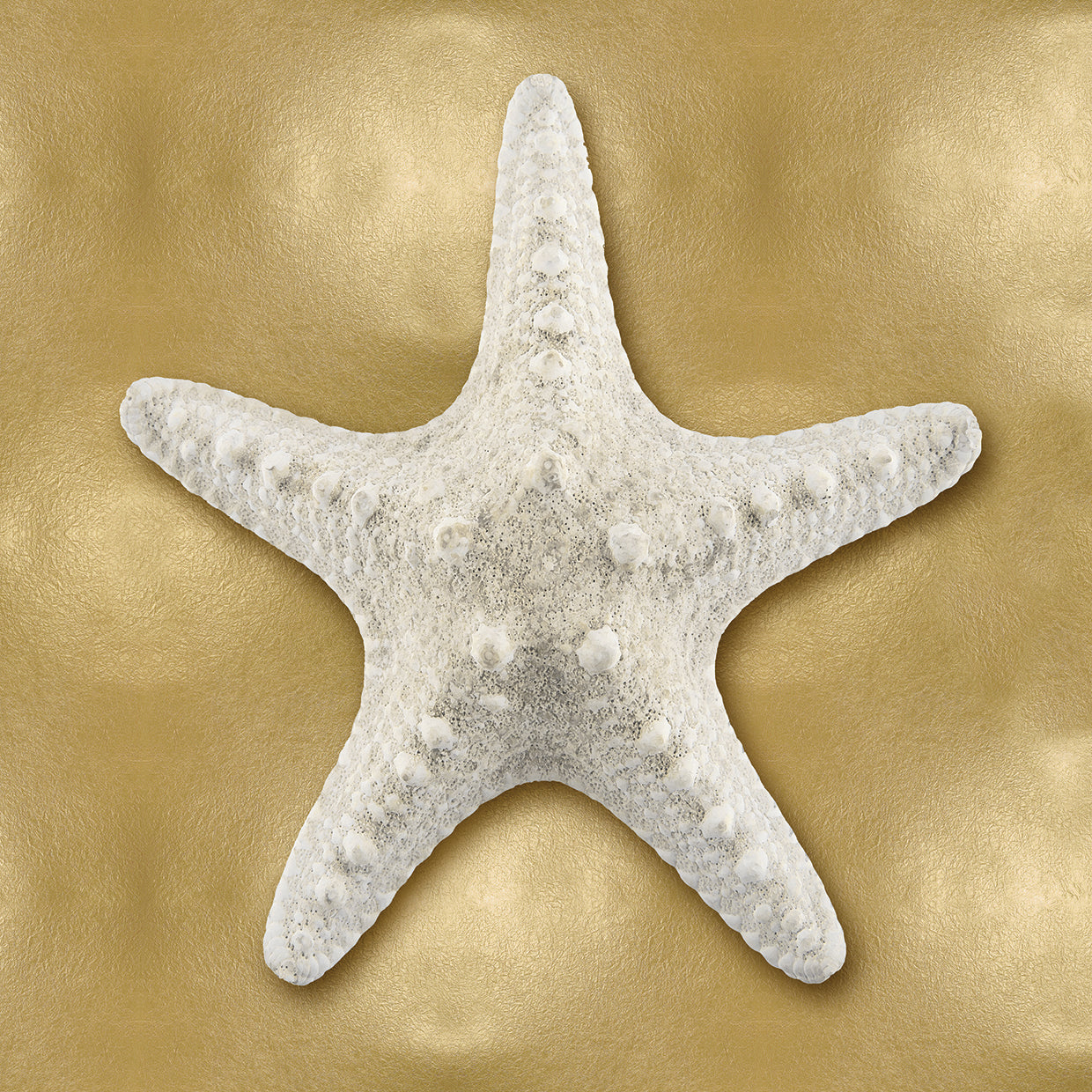 Ocean Gem on Gold VI