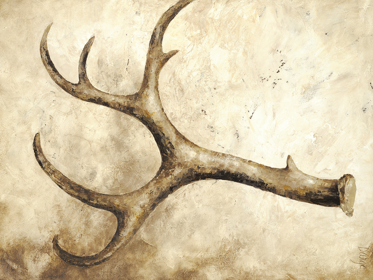 WEATHERED ANTLER