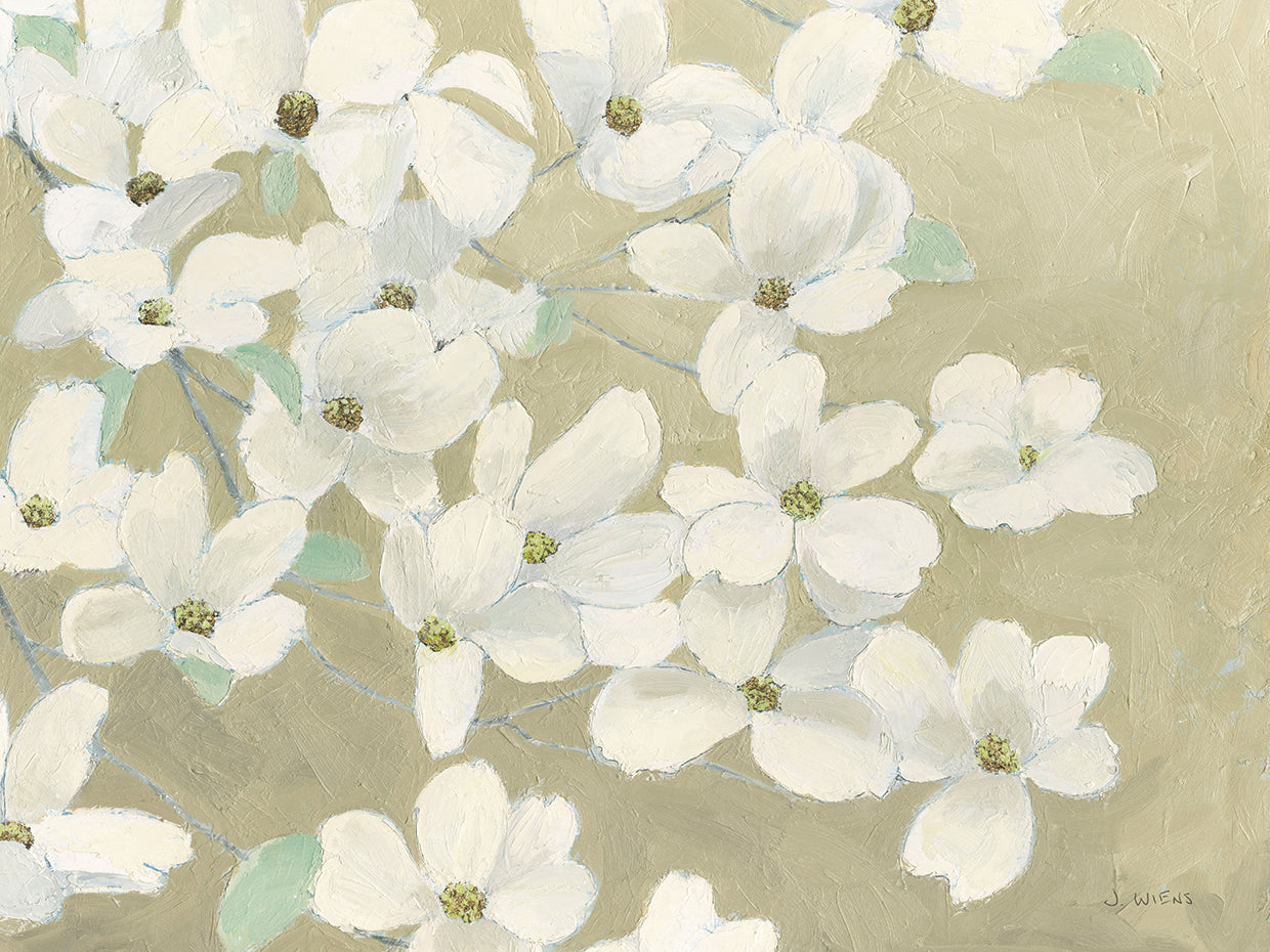 Dogwood Delight