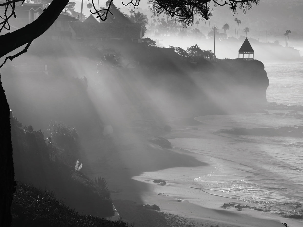 Black and White Sunbeams