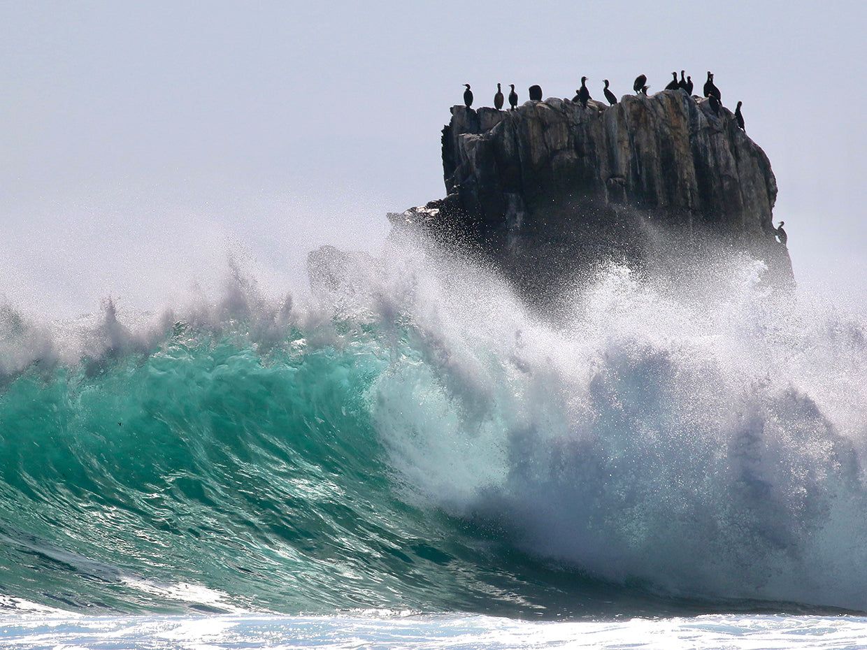Turquoise Waves Crashing