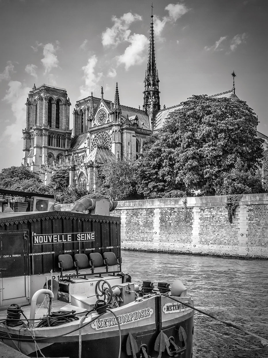 PARIS Cathedral Notre-Dame & Seine Riverside