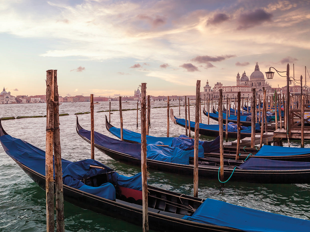 VENICE Gondolas & Santa Maria della Salute