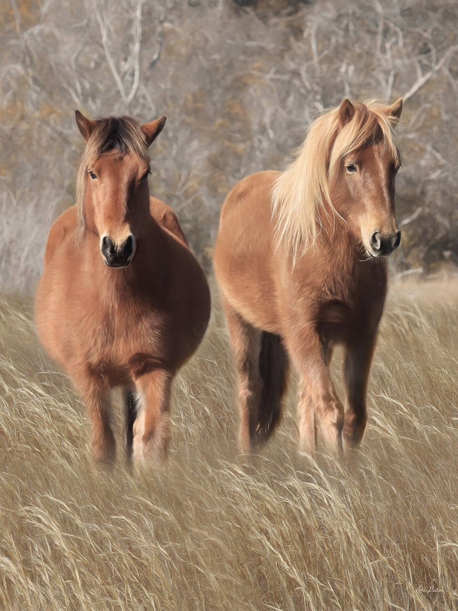 Caballos Assateague IV Lienzo