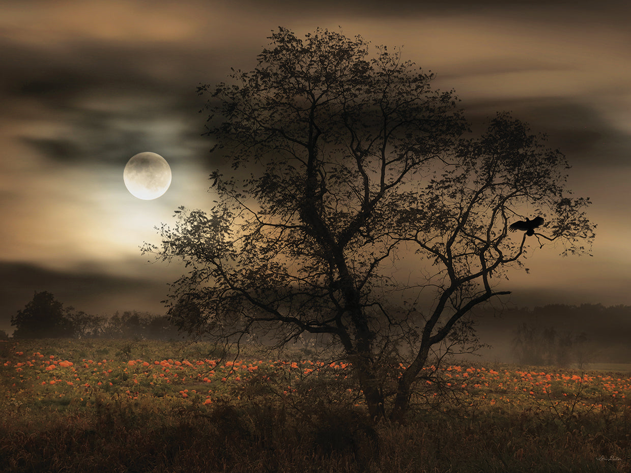 When Pumpkins Glow by Moonlight