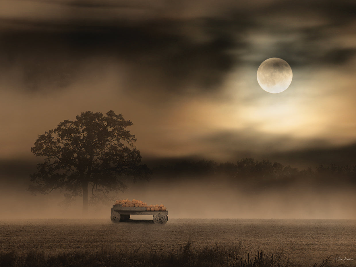 The Spooky Old Oak Tree