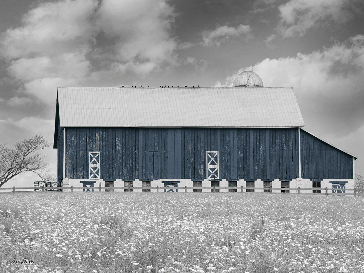 Black & White Barn