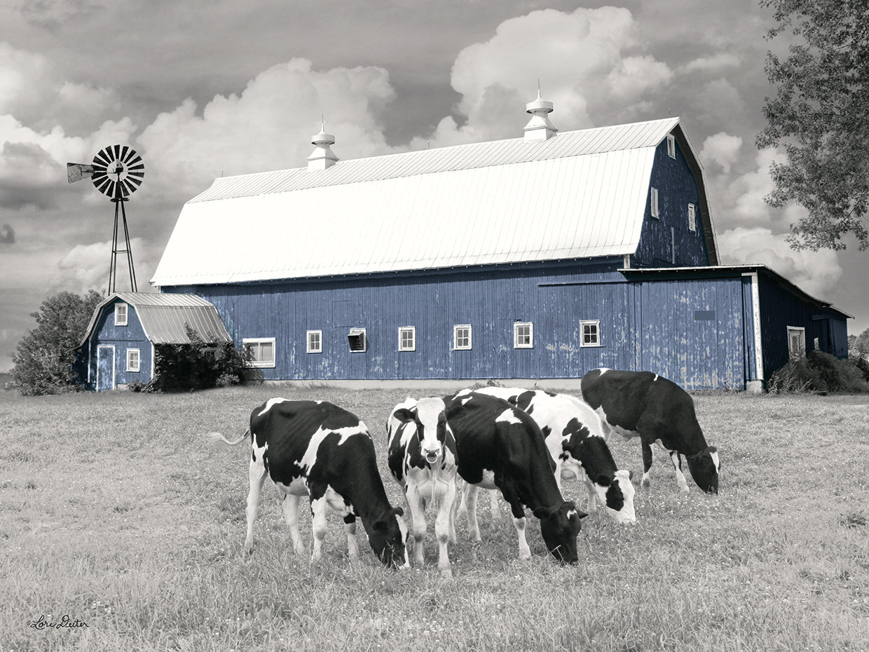 Blue Barn with Cows