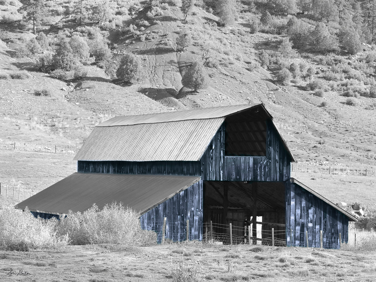 Blue Barn II