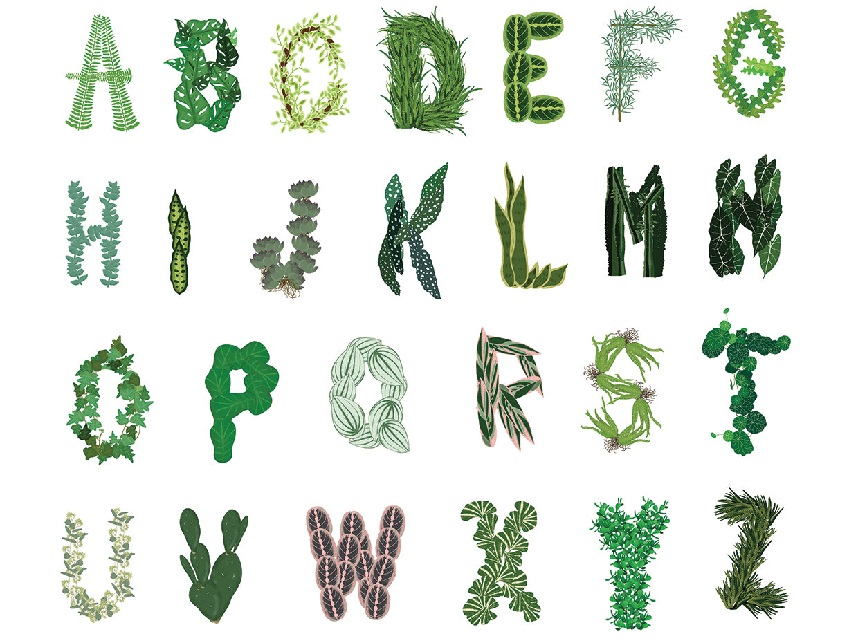 Plant Alphabet