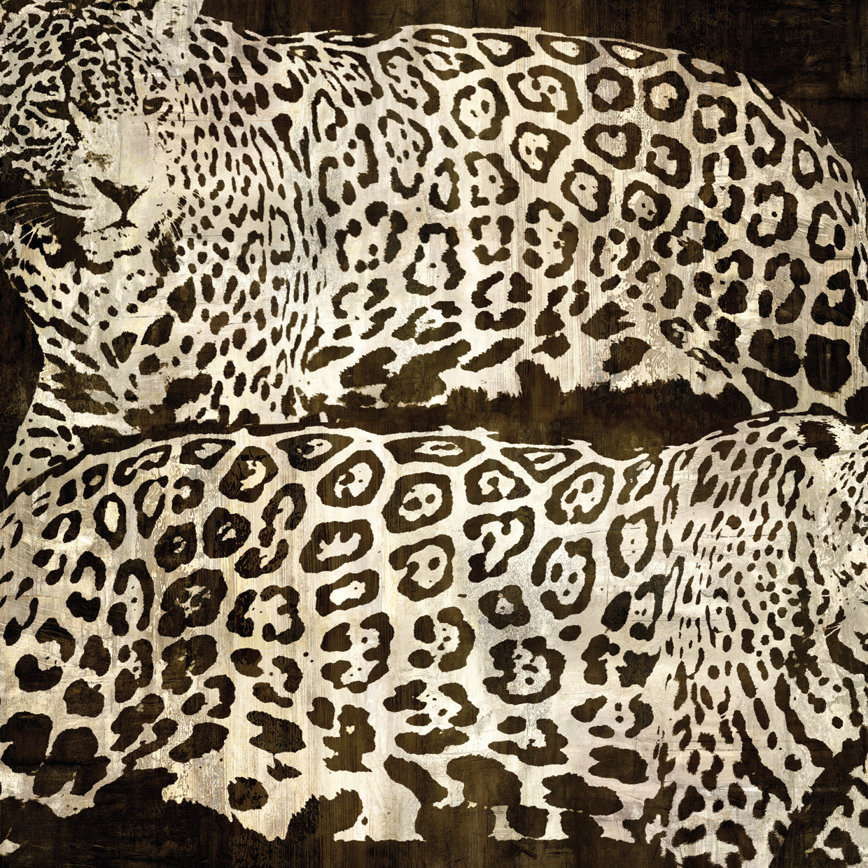 Leopardos Lienzo