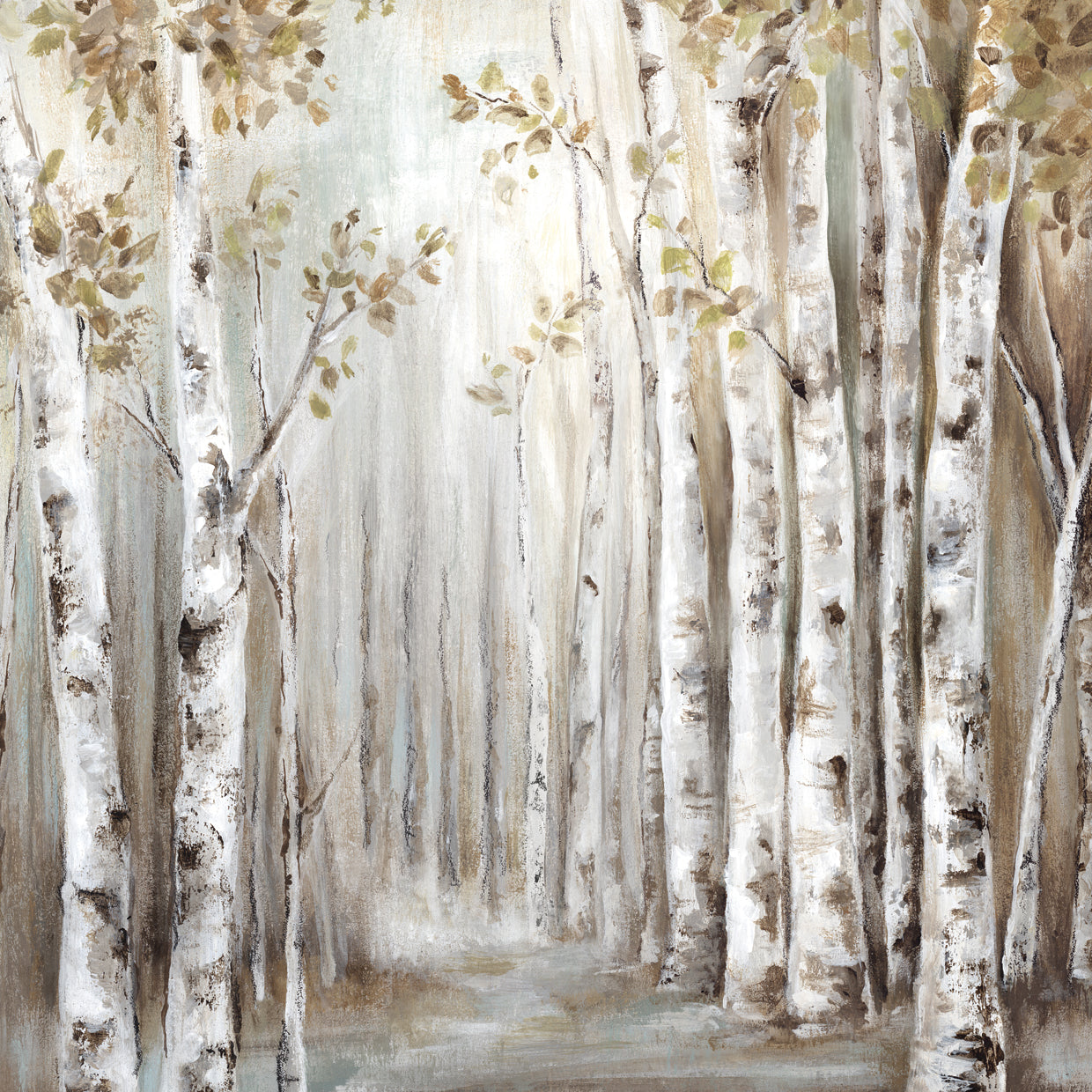 Sunset Birch Forest III - Exclusivo para Star Home Lienzo