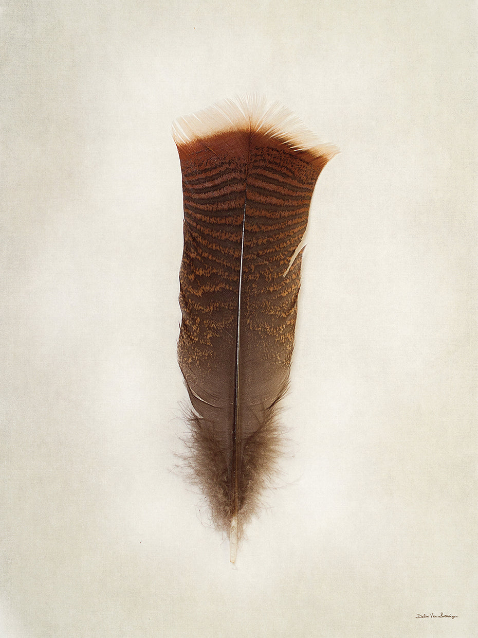 Feather III