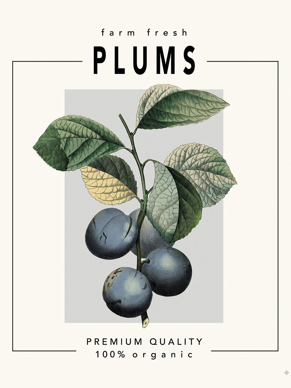 Simple Living Kitchen 2