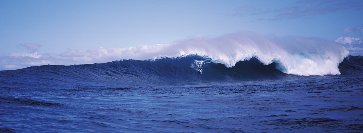 Surfer in the sea, Maui, Hawaii, USA