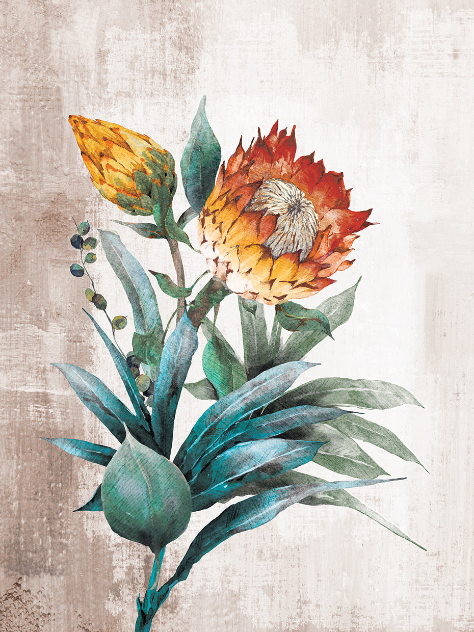 Protea SeasonV4