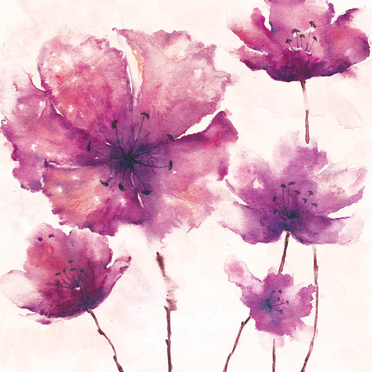 Amapola morada 2 Lienzo