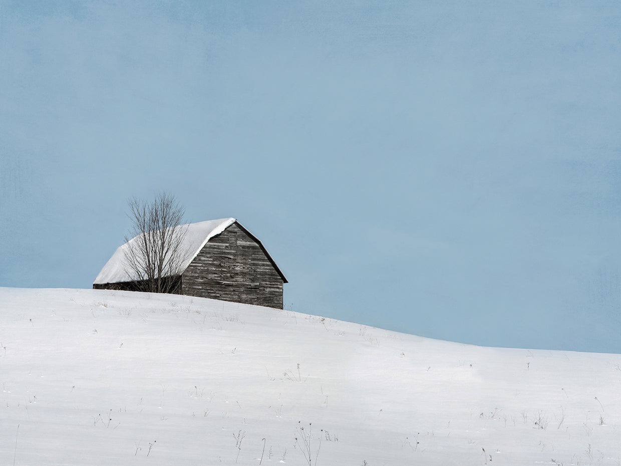 Minimalist Barn