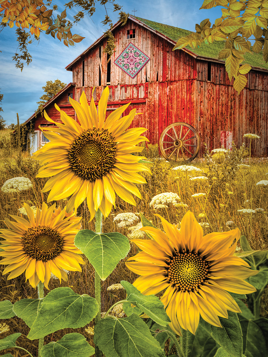 Golden Sunflowers Red Barn