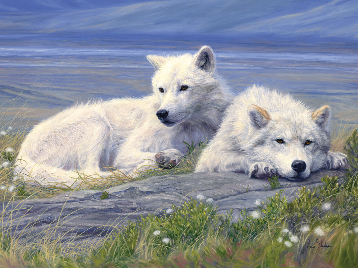 Spirits of the Arctic