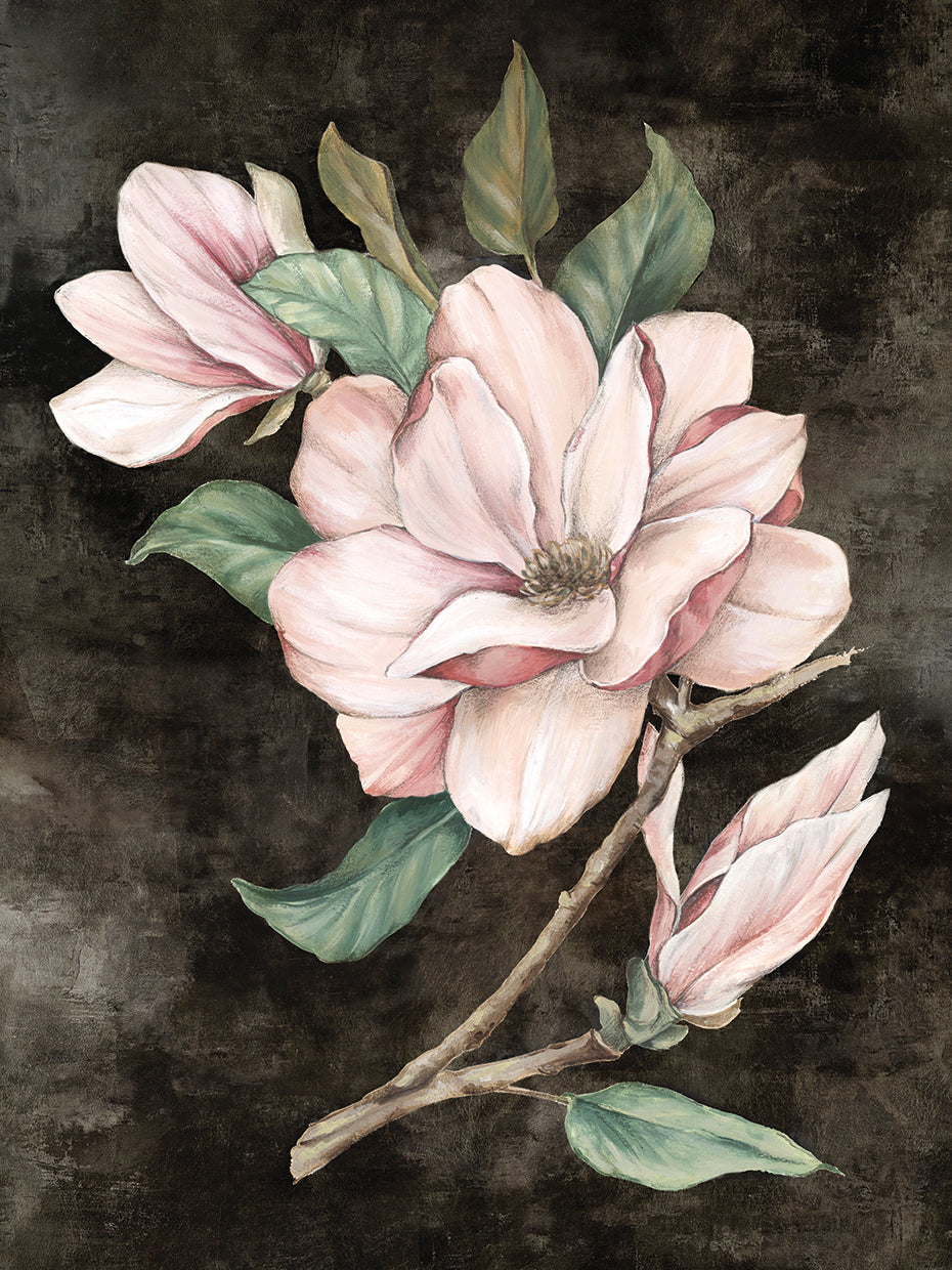 Pink Magnolia I