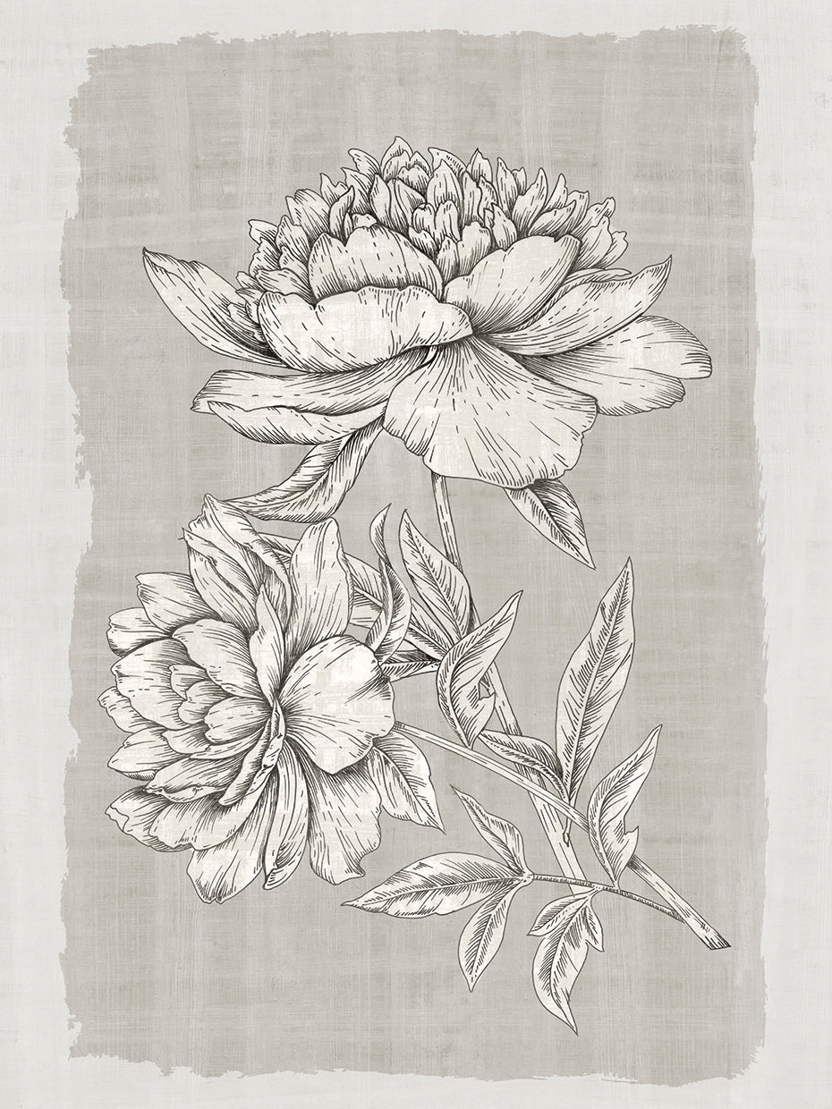 Botanical Linen I