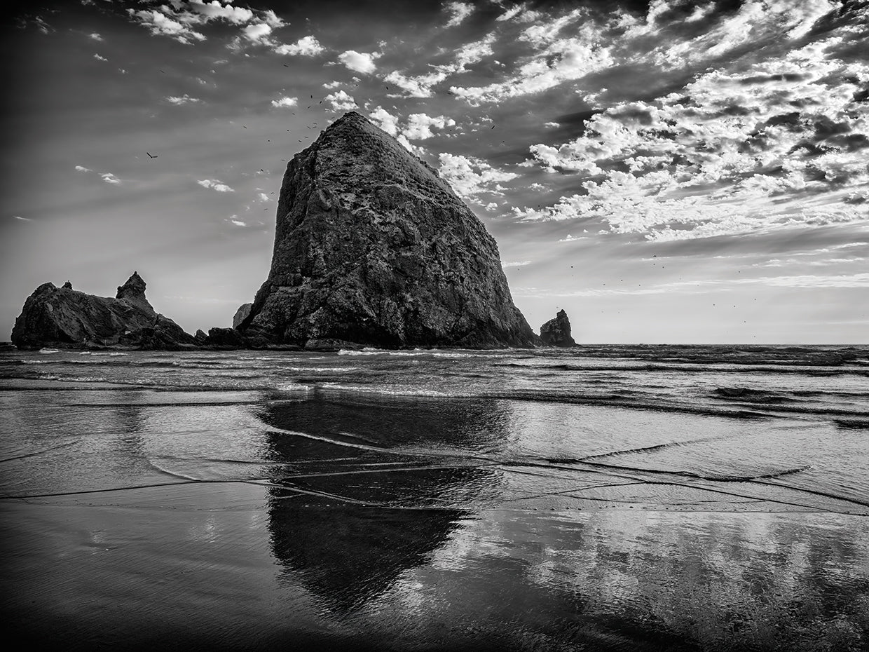 Afternoon Reflections