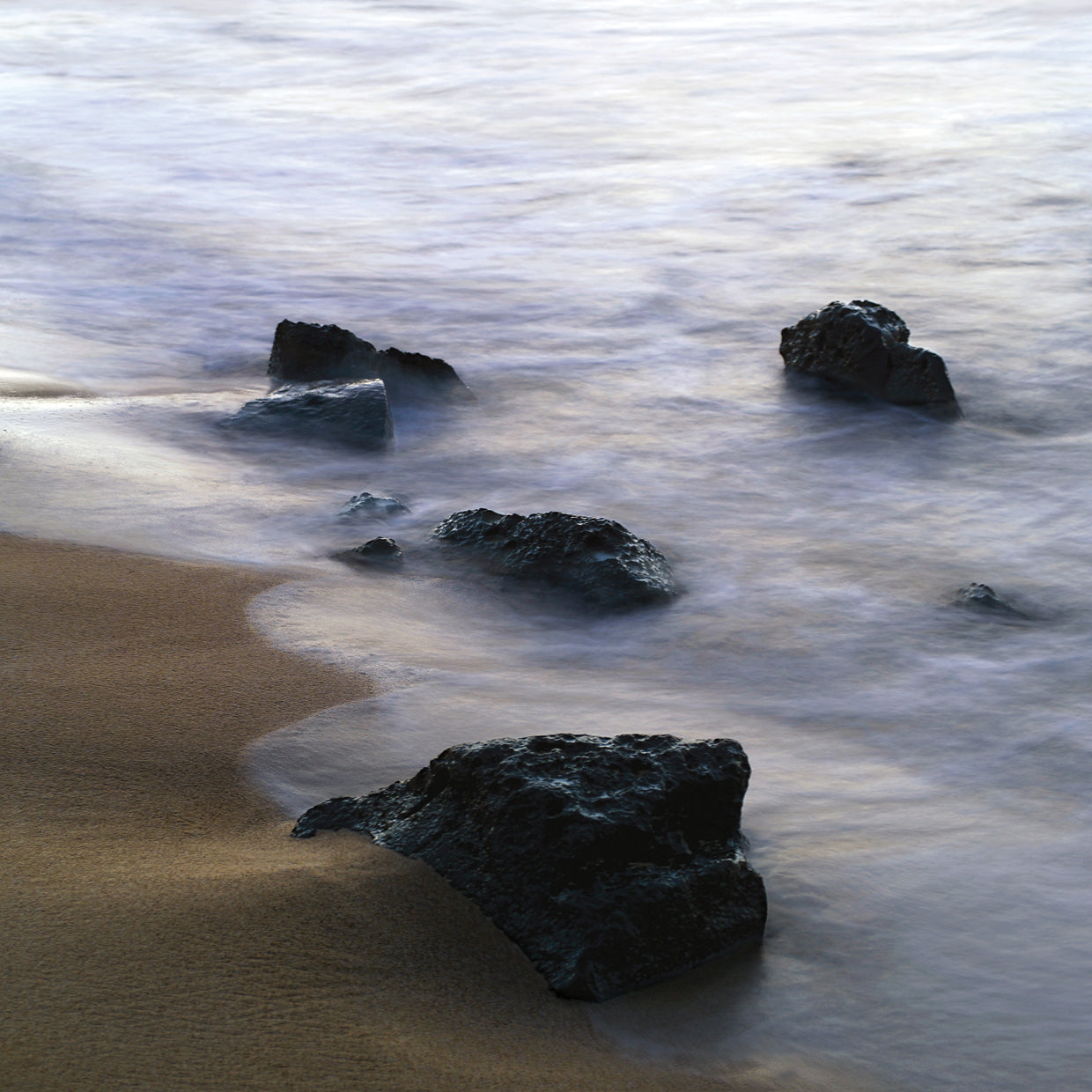 The Coast – Oversize