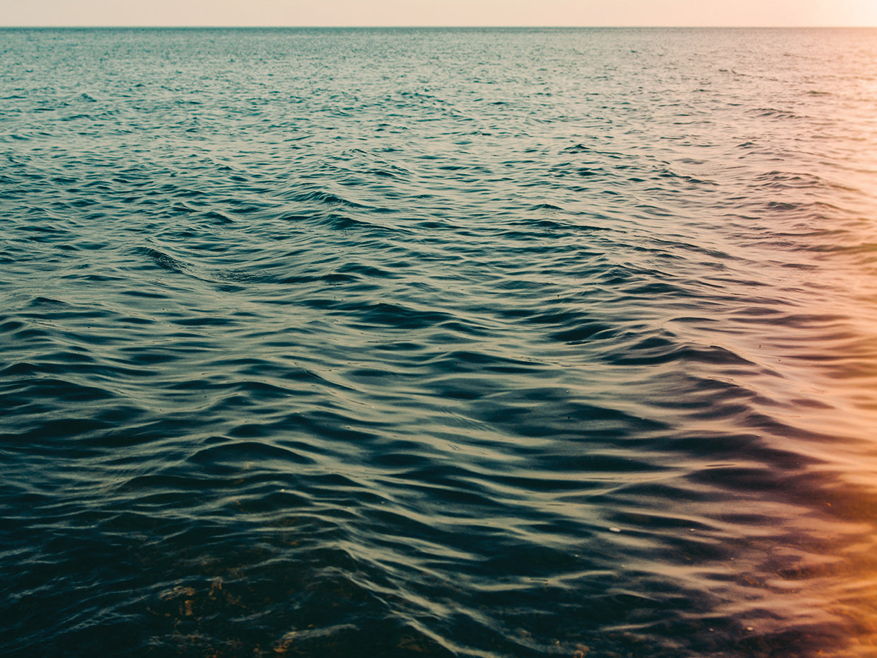 Ocean Dip at Dusk