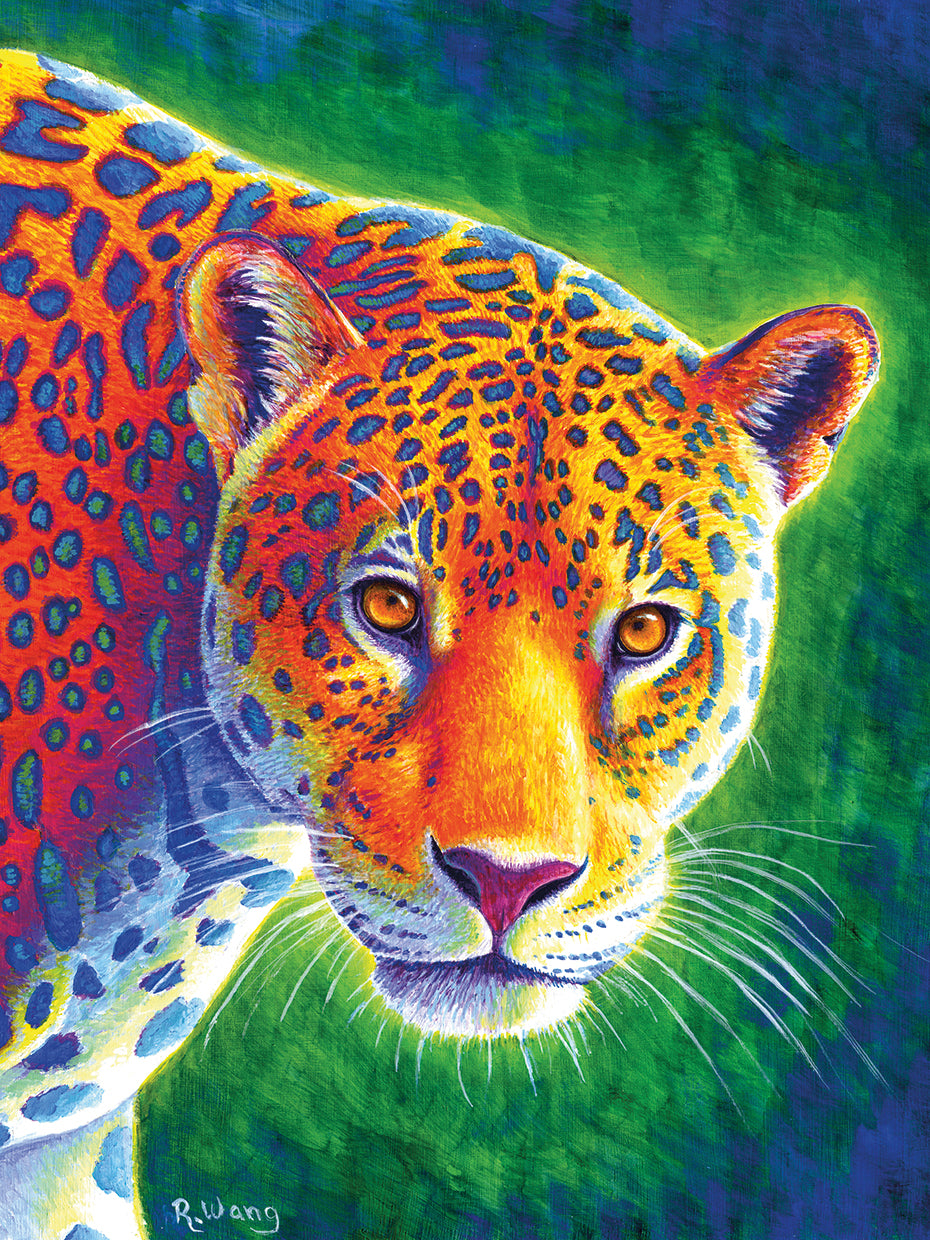 Light in the Rainforest