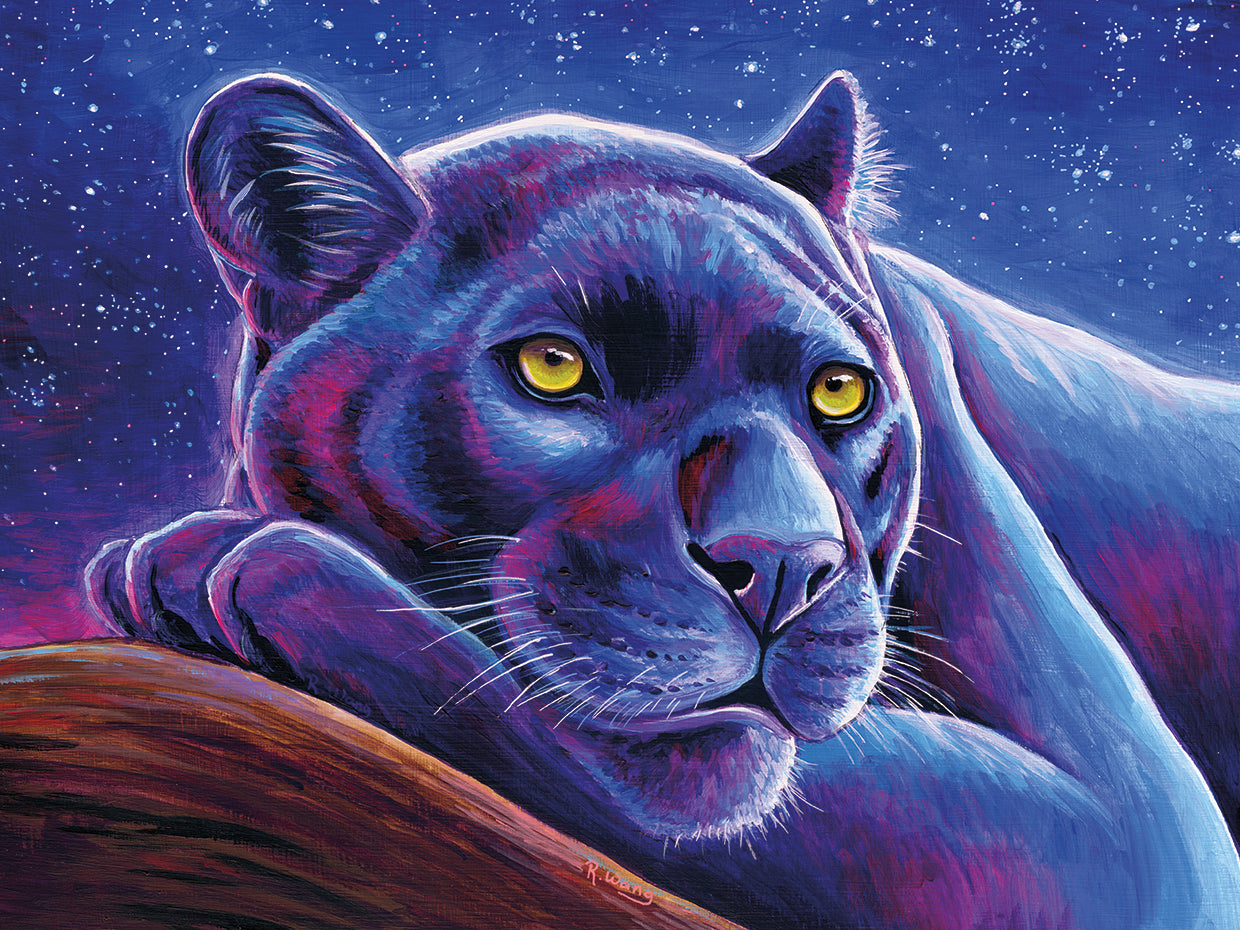 Stargazing Colorful Black Leopard